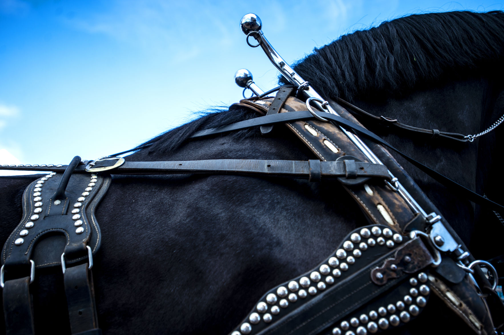 Sports Rodeo - Saturday 6.JPG